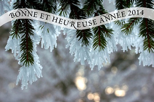 Bonne et heureuse année 2014